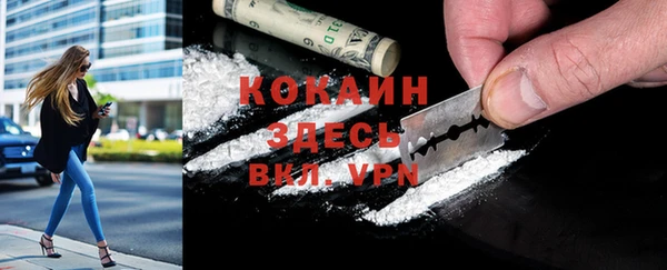 герыч Мегион