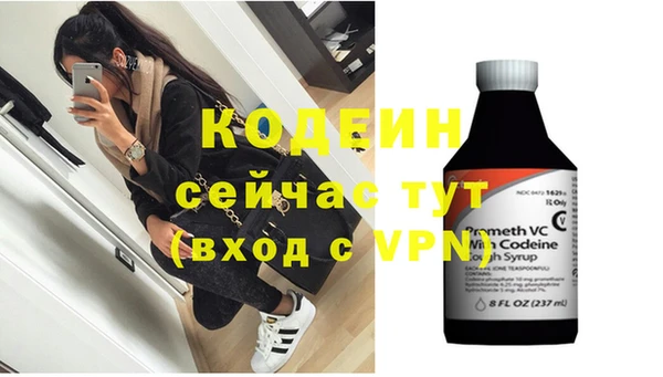 индика Медвежьегорск