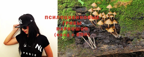 PSILOCYBIN Михайловка