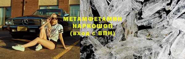 индика Медвежьегорск