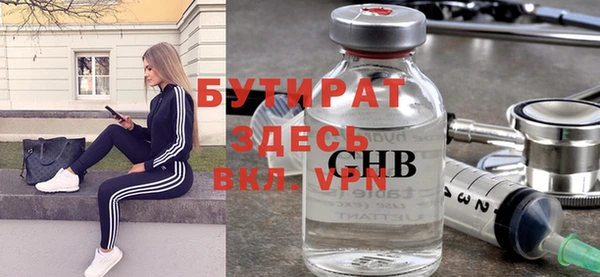 индика Медвежьегорск