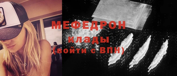 индика Медвежьегорск