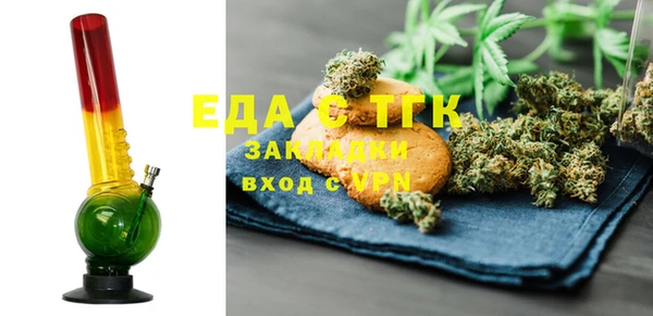 индика Медвежьегорск