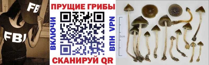 Псилоцибиновые грибы Psilocybe  kraken ТОР  Лакинск 